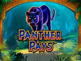 panther pays